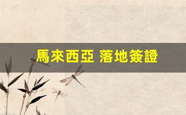 馬來西亞 落地簽證(馬來西亞落地簽證最新政策2024)